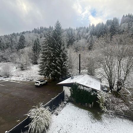 Studio Chalet Cosy Gerardmer Ngoại thất bức ảnh